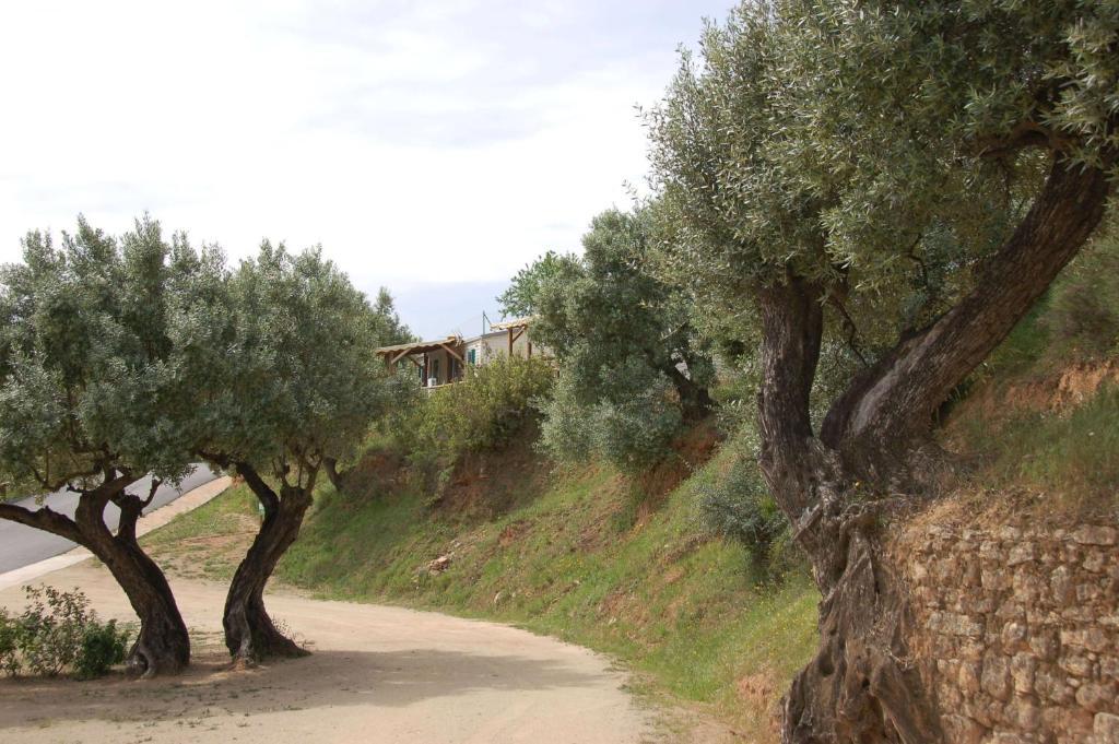 Camping Terra Alta Bot Exterior foto